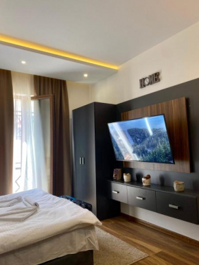 Apartman Milosavljevic-President Kop